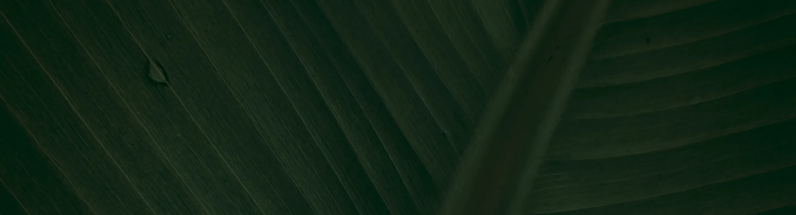 hero-image_optimized 25KG Bag Of Local Rice