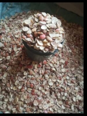 Ador Ogbono Ador Ogbono(Painter)