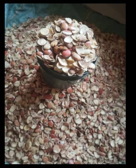 Ador Ogbono Ador Ogbono(Painter)