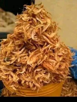 painter of crayfish Brown Oroni Crayfish